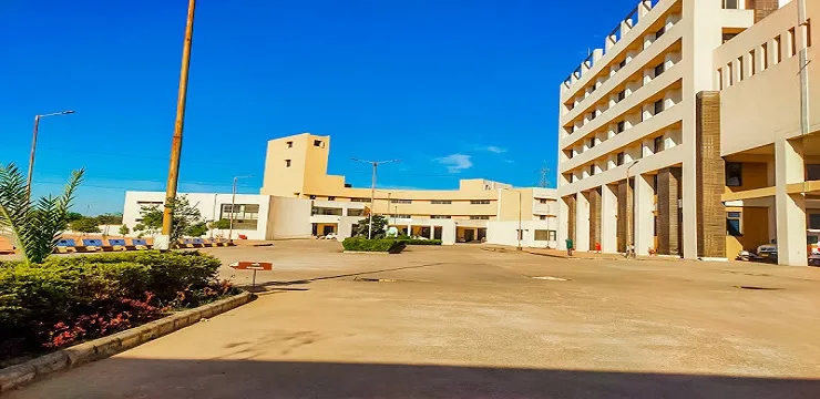 State Model Institute of Ayurveda Sciences Gandhinagar