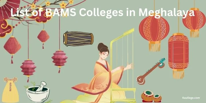 List of BAMS Colleges in Mizoram