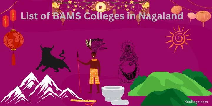 List of BAMS Colleges in Nagaland