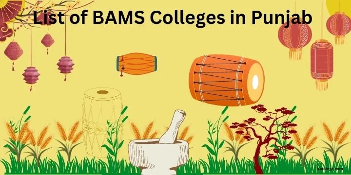 List of BAMS Colleges in Punjab 2024-25: Govt & Private Seats, Fees, Establishment etc