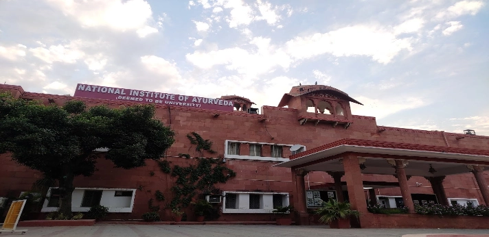 National Institute of Ayurveda