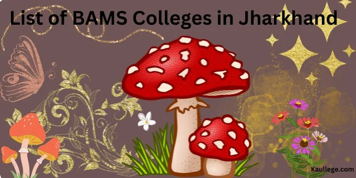 List of BAMS Colleges in Jharkhand 2024-25: Govt & Pvt Seats, Fees, Establishment etc