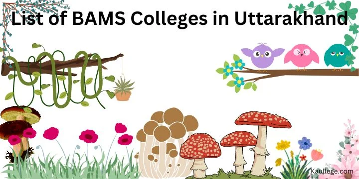 List of BAMS Colleges in Uttarakhand