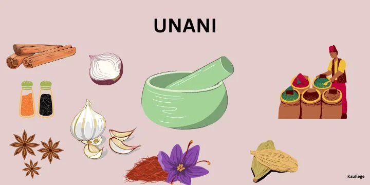 Career in Unani Medicine in India: Jobs, Course, Salary and Admission