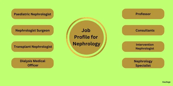 Job Description for Nephrology