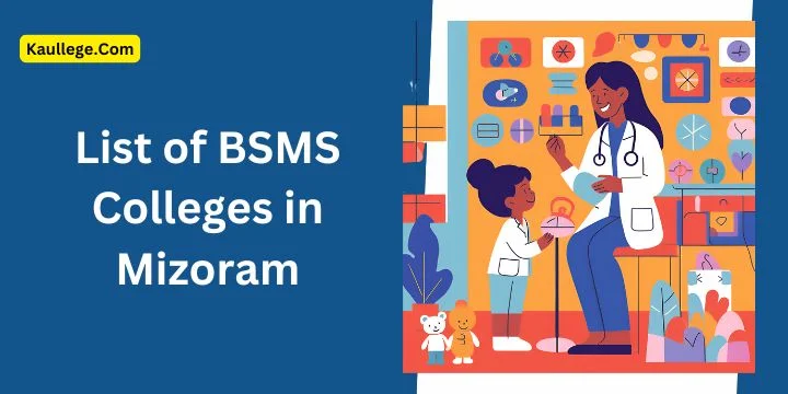 BSMS Colleges in Mizoram