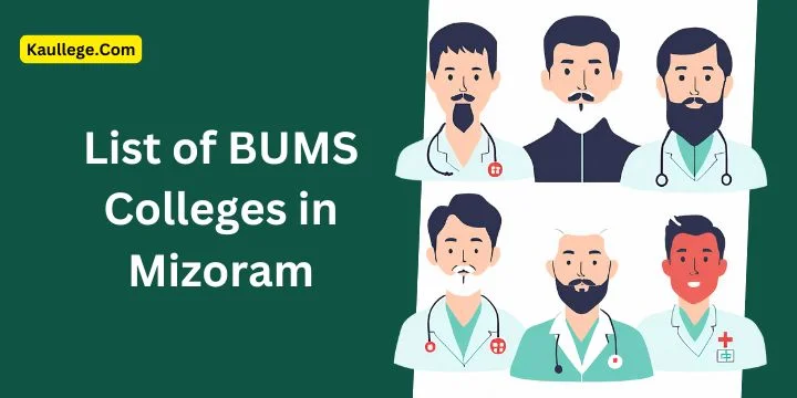 BUMS Colleges in Mizoram